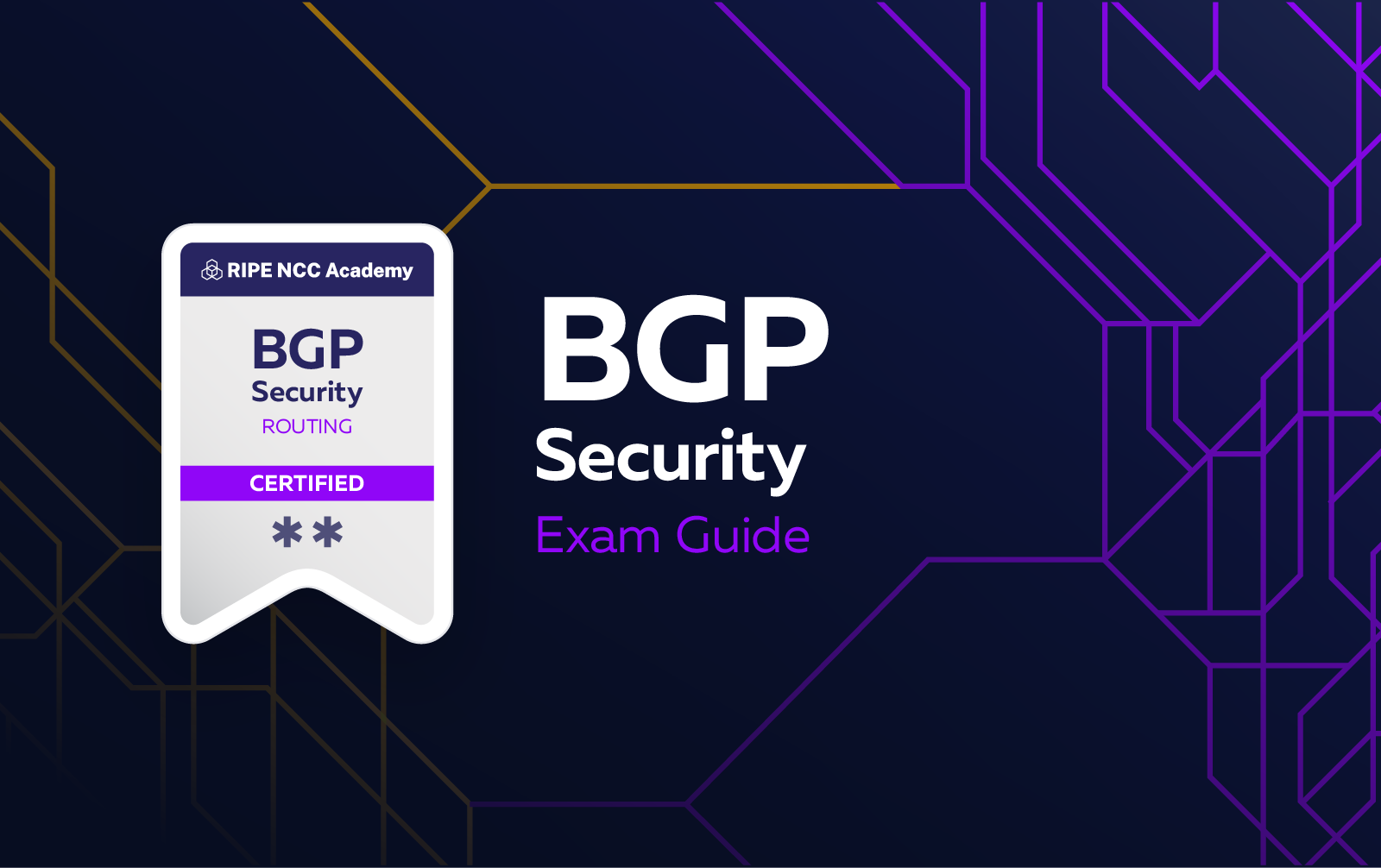 Exam guide