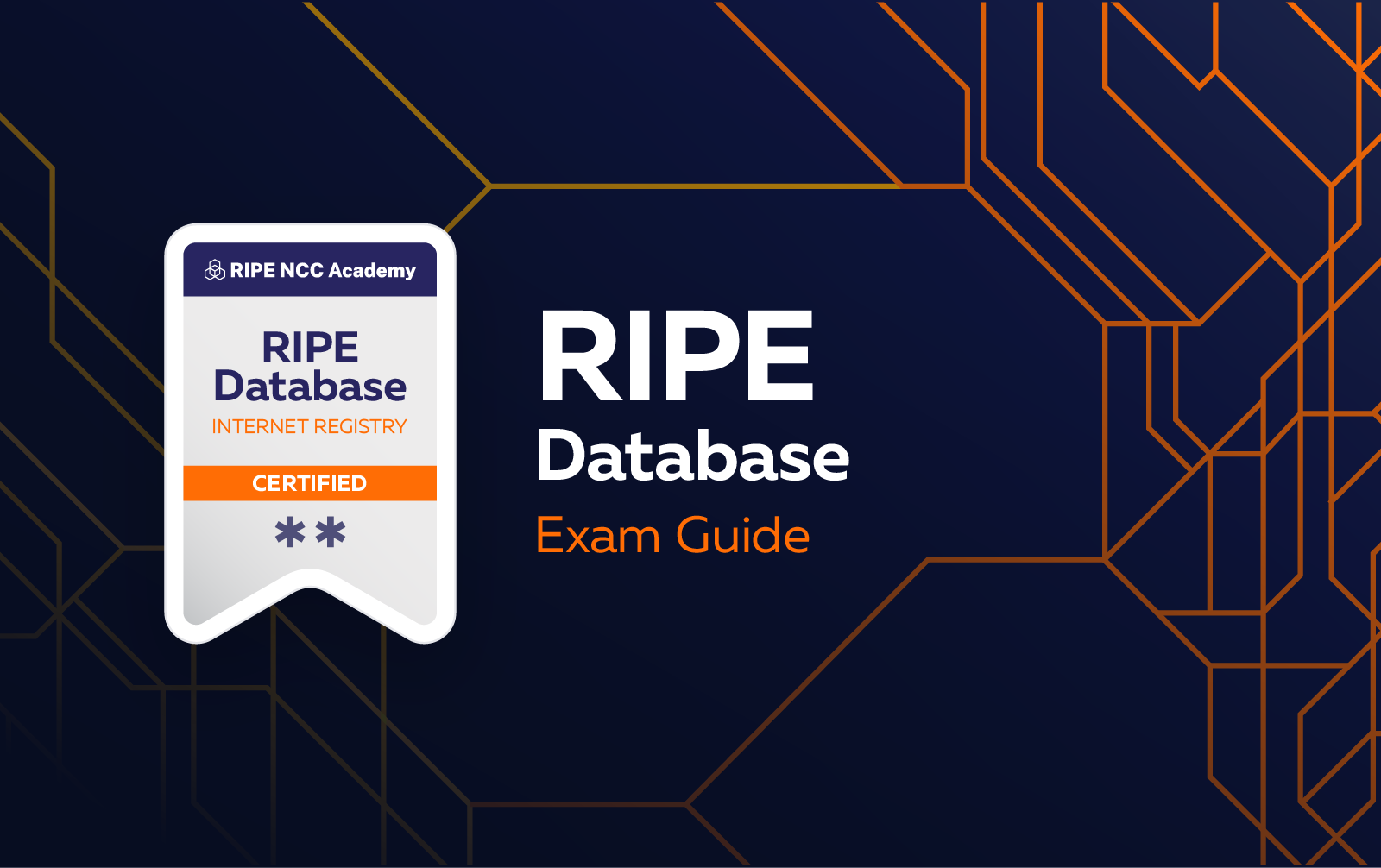 Exam guide