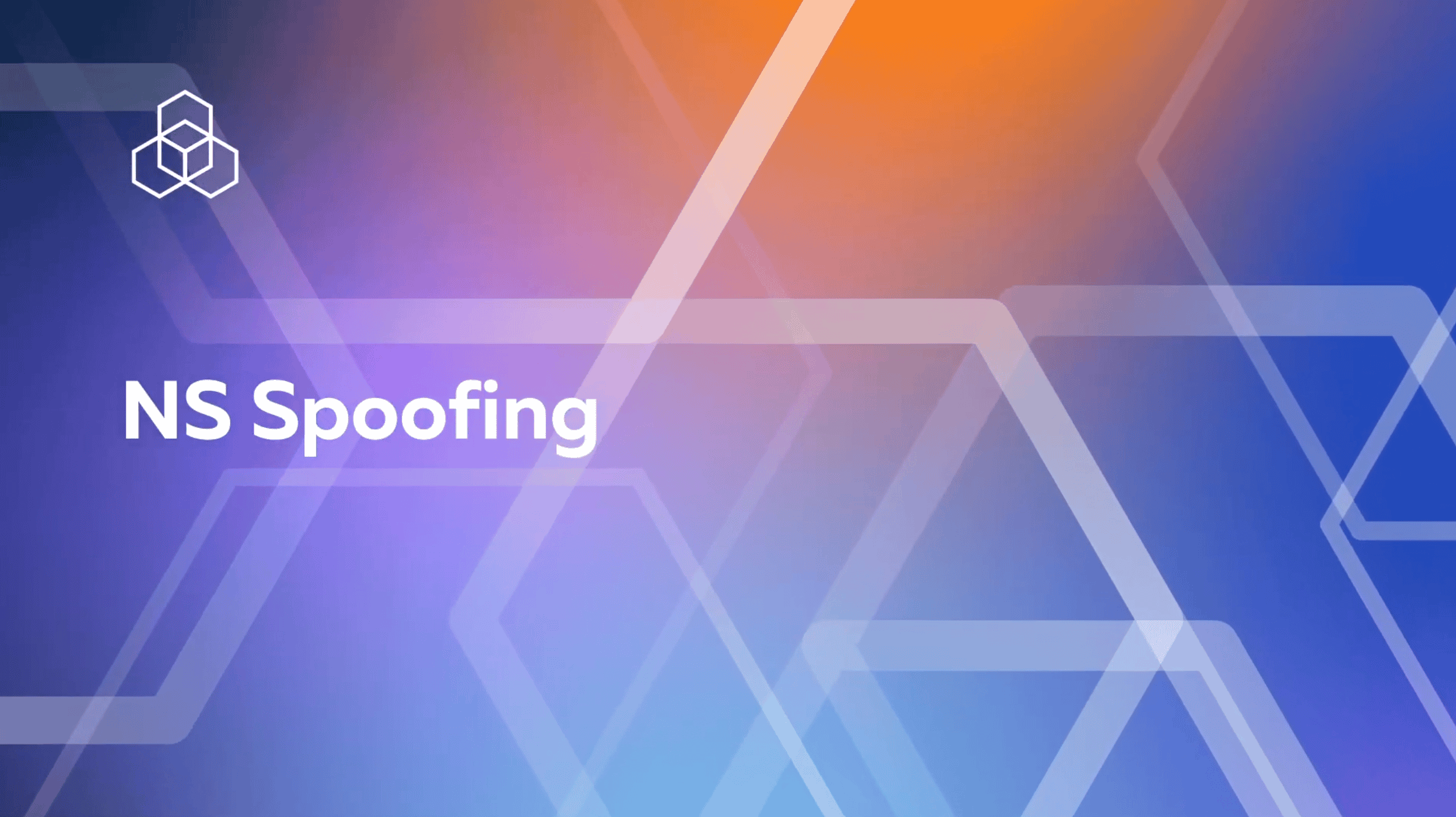 NS Spoofing